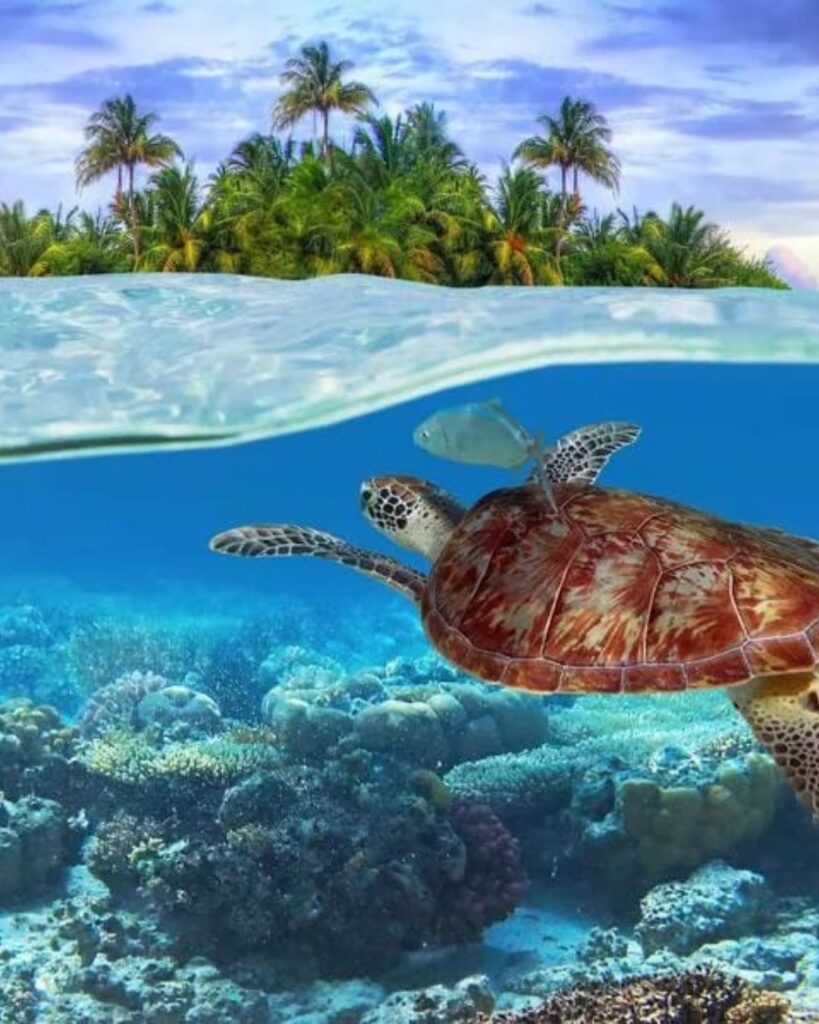 hawai2 Un viaje por el mundo a través de los masajes