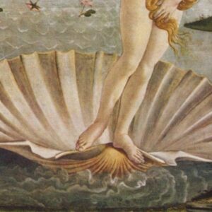 Masajes Premium Nacimiento de Venus