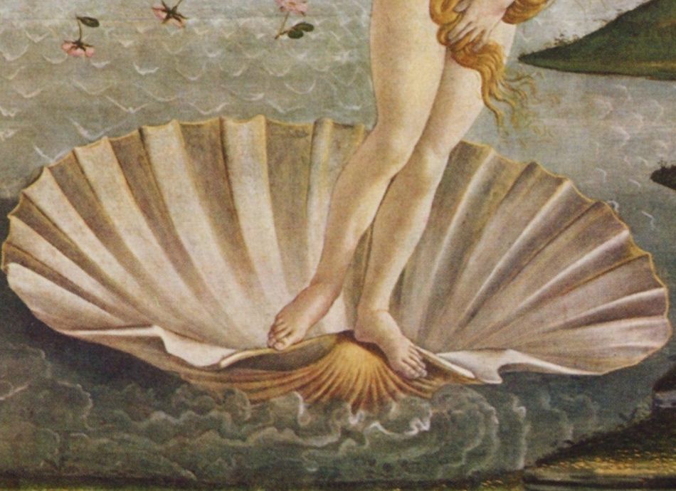 Masajes Premium Nacimiento de Venus