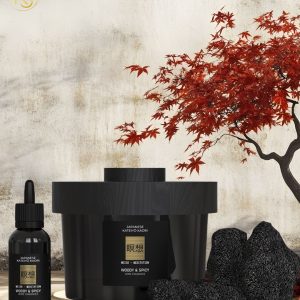 Set de piedras volcánicas y Aceite esencial Meditation